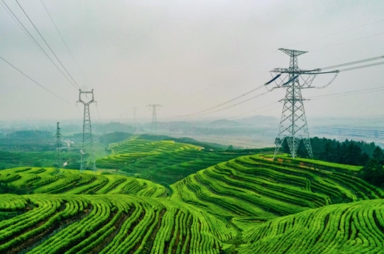 國網浙江電力發(fā)布落實全球發(fā)展倡議行動報告